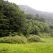 Der Steig beginnt auf der anderen Seite der Wiese. Sein Einstieg befindet sich aber in übermannshohem Gebüsch, und ist daher nicht leicht zu erkennen. Also rechts vom Weg ab, ein paar Meter über die hier schmale Wiese, und hinein ins Gebüsch.