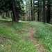 Sentier descendant de Oberi Alpetjini au mayen 1950m.