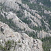 Typische Landschaft der Black Hills: Felsdurchsetzte Wälder.