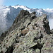 Abstieg über den NW-Grat zur Mattenlimmi, darüber von links Bärglistock, Hangendgletscherhon, Ränfenhorn, Wetterhörner, Tossen und Wellhorn