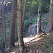 Da wurde vor Zeiten ein Schuttsammler gebaut, vermutlich stammt der Weg aus diesen Tagen