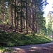 .. wo gleich um die Ecke (siehe Pfeil) der Wanderweg abzweigt