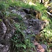 Neue Ketten (sogar der Hammer hängt noch dort) ..