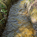 Wasser, mit dem die Rebberge bewässert werden