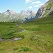 Alpine Feuchtfläche mit Wollgras unterhalb des Grießkopfes