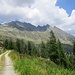 Strada forestale per l'Alpe Stabveder