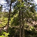 Am Kletterfelsen angekommen