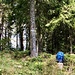 Gipfelfoto Wagnersberg ( 1105m )