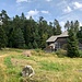 Am Wagnerhaus ( 1070m )