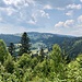Typischer Ausblick im Schwarzwald