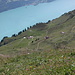 Tiefblick über Magerwiesen zur Rotschalp und weiter hinunter zum Brienzersee mit Iseltwald und Schnäggeninseli