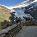 ... vor dem Oberen Grindelwaldgletscher ...