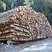 Holzvorräte des Gommer Forstreviers bei der Obere Binnegga.