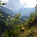 Blick vom Eggerwald ins Rhonetal. Hockmatta im Vordergrund.