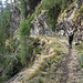 Weg durch den Tschongbach-Schlucht