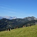 Zugspitze und Krottenkopf