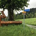 kunstvoller Brunnen auf dem Trottinettweg (Ahorn > Eriswil)