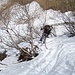Oberhalb Alp Sardasca: [u xaendi] kämpft sich durch die Büsche
