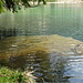 Crestasee