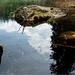 Crestasee