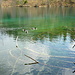 Crestasee