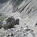 Wagemut zieht im Ausstieg durch die Rinne hoch zur Kaskarspitze.
