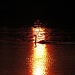 Schwan auf dem Soier See bei Sonnenuntergang