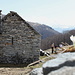 alpe orino
