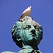 Die Vögel scheissen wortwörtlich auf die Statue von König Karl XII.