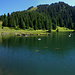 Panoramablick "Lac de la Mouille".