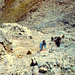 Ärmighorn, Tiefblick am Gipfelaufbau in der Kientaler Flanke. Sehr exponiert.