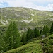 Alpe Sasso Ièi (über dem Gotthardbasistunnel)