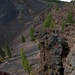 radi pini sulla parete del Crater del Duraznero