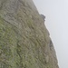 Nebelschwaden-Kletterer