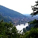 Ein letzter Blick nach Heidelberg.