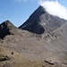 Blick Richtung Wasenhorn (Südwestgrat). Der erste kleine Gipfel (P. 2946m) habe ich südlich auf deutlichen Wegspuren umgangen.