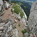 Schrofiger, steiler Abstieg von der Läuferspitze direkt unterhalb des Gipfelwändchens (T3+/T4-)
