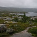 Der trotz Regenwetter malerische See Stasjonsvatnet (512m) bei Bjørnfjell in typischer Tundralandschaft.