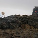 Auf dem Ráisduottarháldi (1361,4m) stehen ein hölzernes Signal und ein mächtiger Gipfelsteinmann.