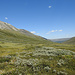 Dovrefjell-Sunndalsfjella National Park