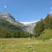 Alp Palü mit Vadret da Palü im Hintergrund