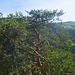 Blick über das Tal in den Nationalpark Slowakisches Paradies (Slovenský raj).