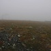 Auf etwa 755m Höhe, am Beginn des Laukokero-Gipfelplateaus tauchte rechterhand das Bergstation-Häuschen des oberen Skilifts im Nebel auf. Wir waren also bis jetzt richtig unterwegs!
