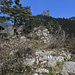 Bützi-Gipfel, im Hintergrund Stockenflue