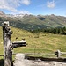 Ausblick von der Alp Müsella auf die Alp Müsella. Im Brunnen drei Bierchen. 