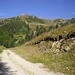 Towards the slopes of Vf. Furnica.