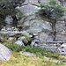Sottosasso