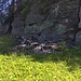 Alpe Piatto