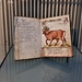 Il "toro svizzero" al Bundesbriefmuseum.