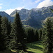 Aufstieg zum Spitzhubel.